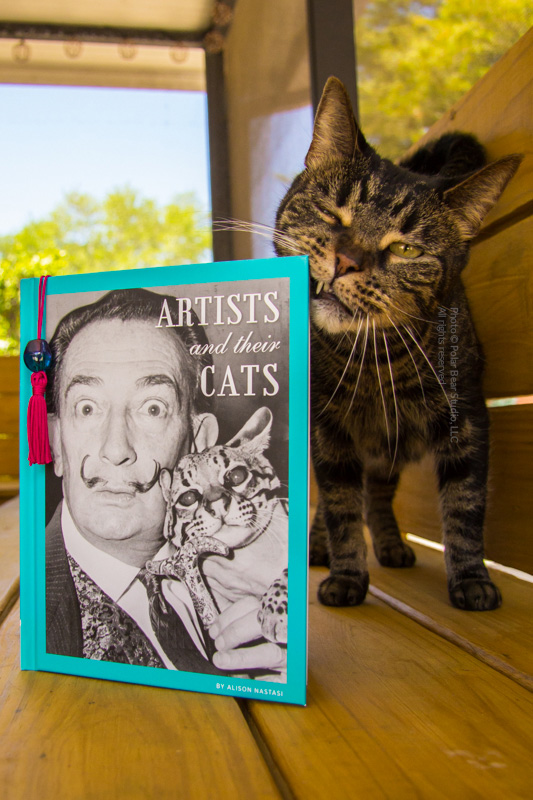 Artists and Their Cats by Alison Nastasi Book Review