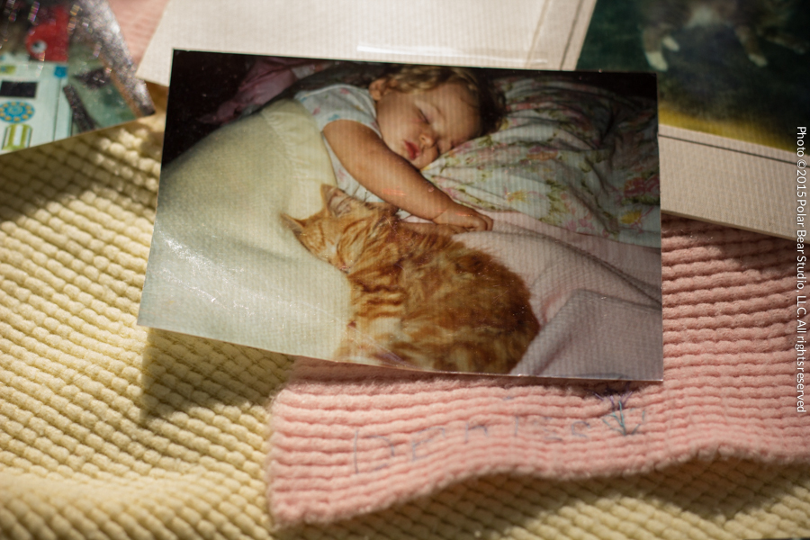 Photo of a baby and orange tabby cat sleeping together, Copyright Polar Bear Studio, LLC