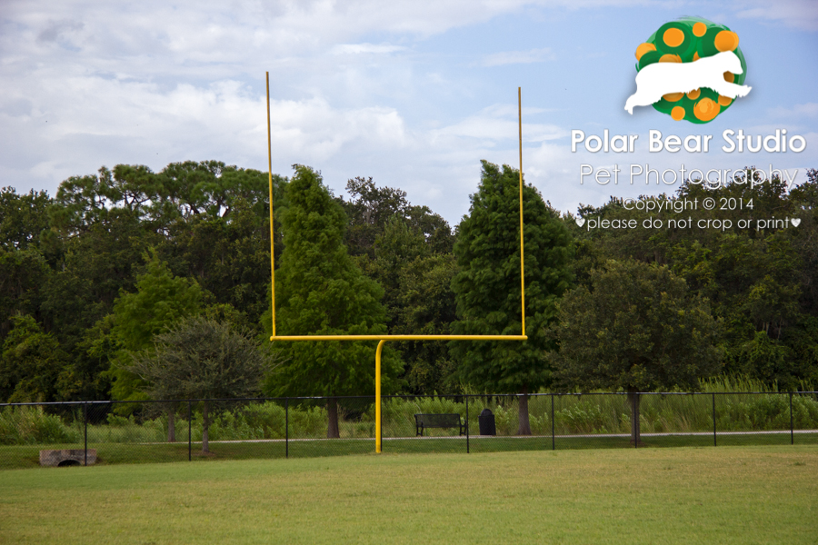 Football field at Buffalo Creek Park in Palmetto, Florida, Photo by Polar Bear Studio