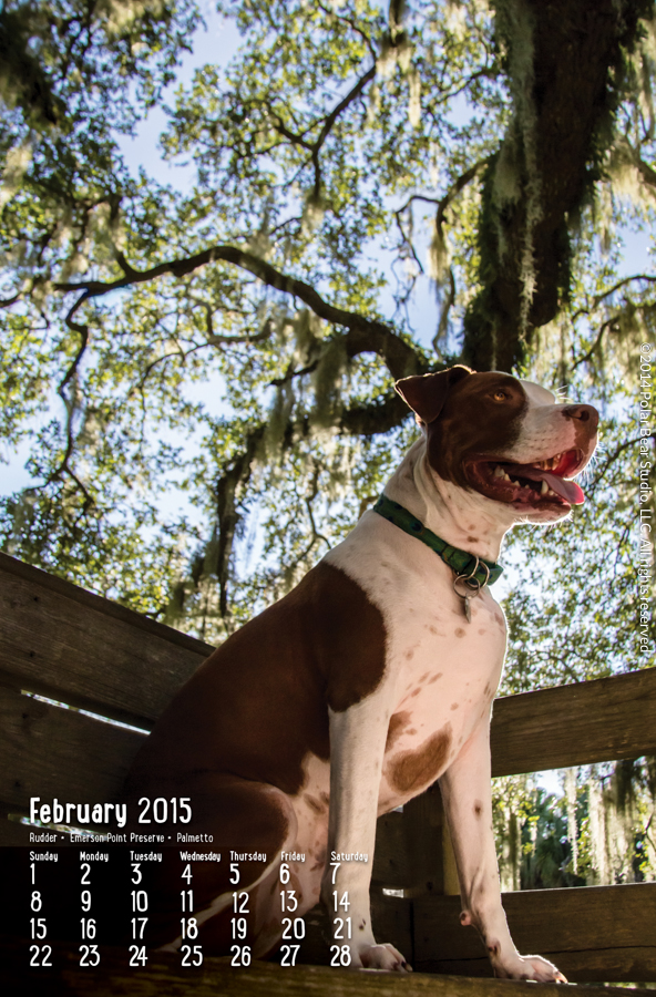 February for Dogs of Manatee County Calendar by Polar Bear Studio