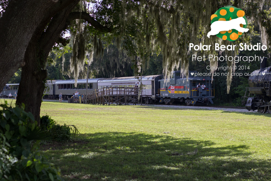 Florida Railroad Museum, Photo by Polar Bear Studio