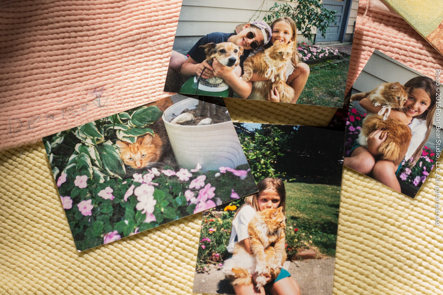 My first pet photography experience, photographing my bestie Marmalade