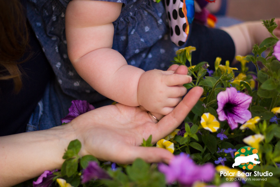 Momma hand and baby hand | Photo by Polar Bear Studio, Copyright 2015