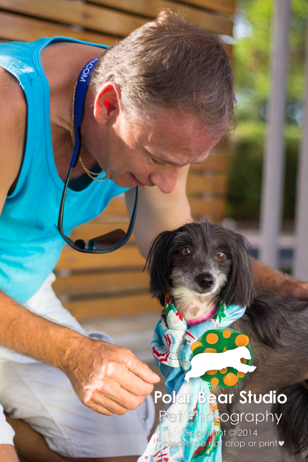 Chinese Crested Wearing a Scarf, by Polar Bear Studio