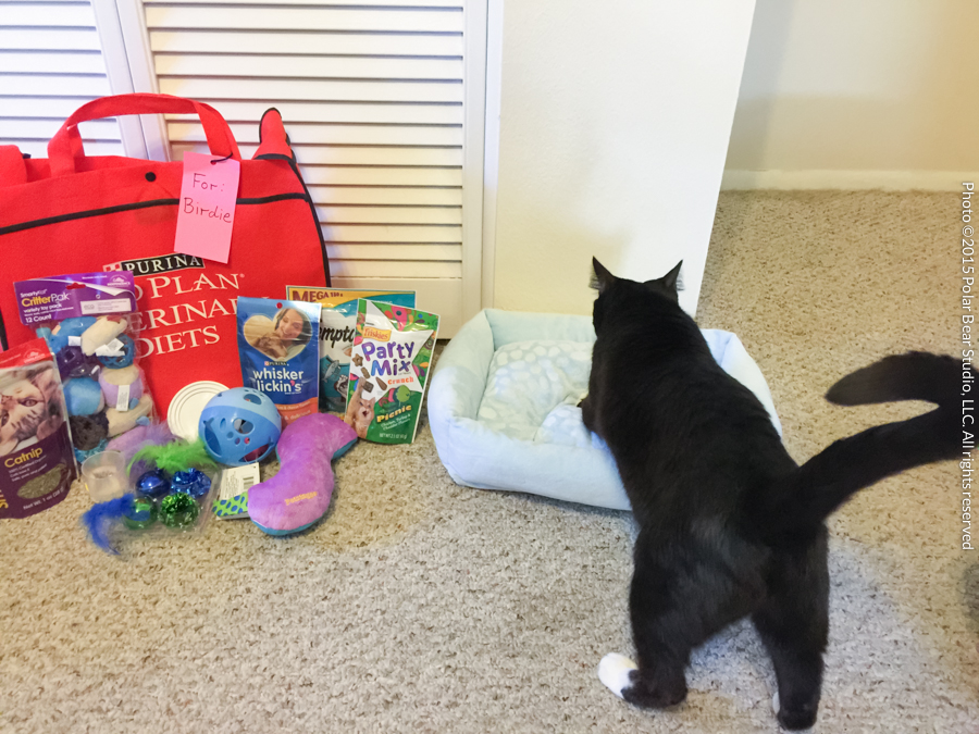 Socks with her gifts from her sponsors