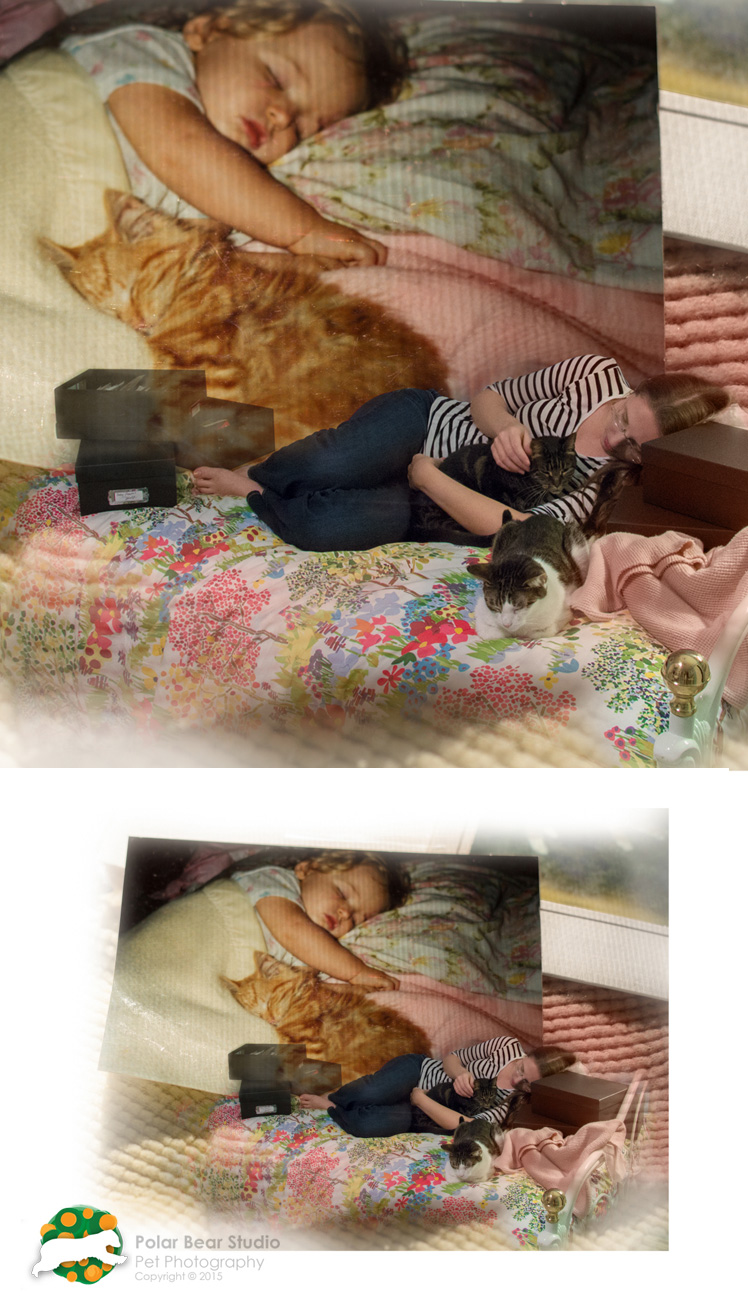 Digital Collage Classic Catnap by Polar Bear Studio